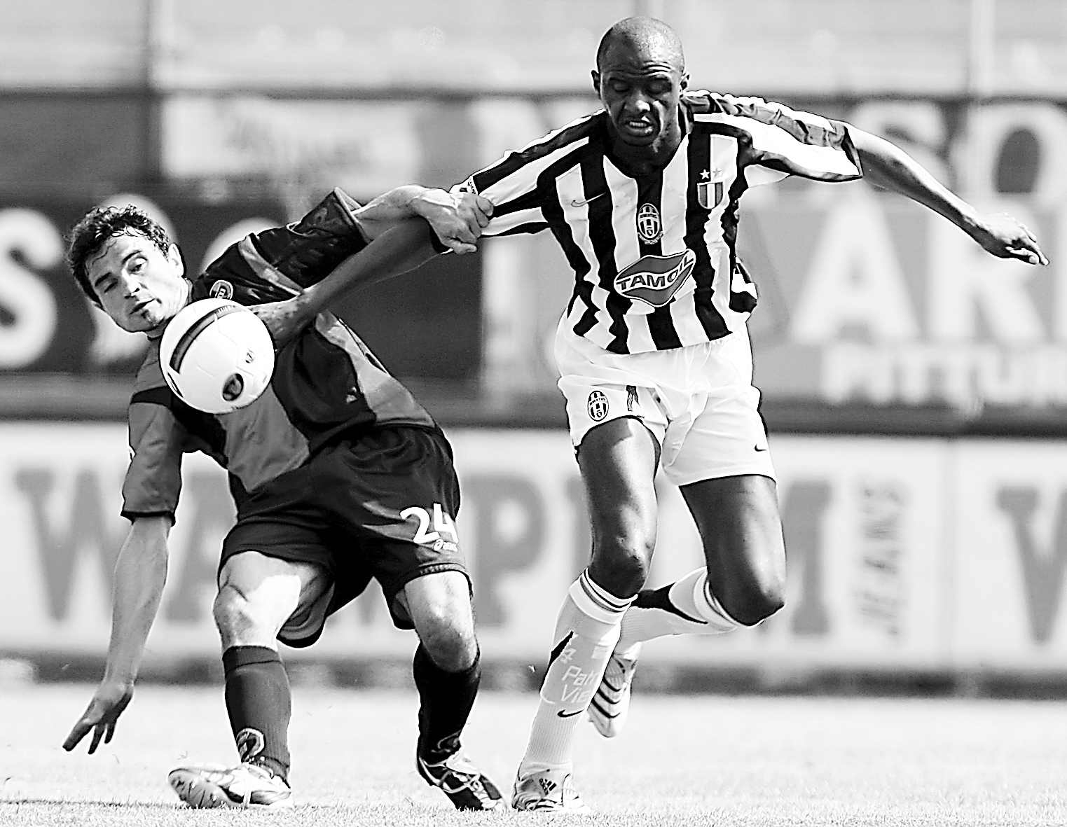 他们在本届 他们在本届