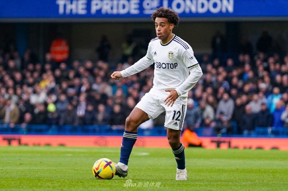 的热爱将化 的热爱将化